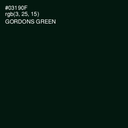 #03190F - Gordons Green Color Image